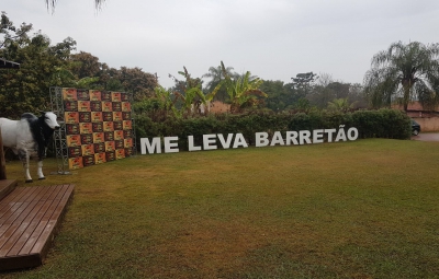 a22cfa71b3c457a96de62abc93df93d6.jpg